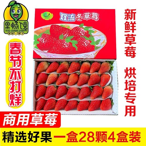 四季草莓果畅馋草莓商用