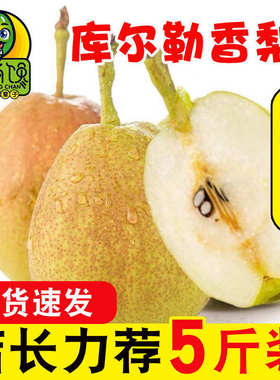 新疆库尔勒香梨现摘现发