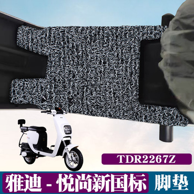 适用雅迪L悦尚新国标A-C脚垫改装电动车TDR2267Z防滑防水丝圈脚垫