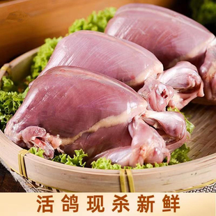 扒皮乳鸽10只装顺丰包邮新鲜现杀原粮速冻鸽子肉常年供烧烤饭店用