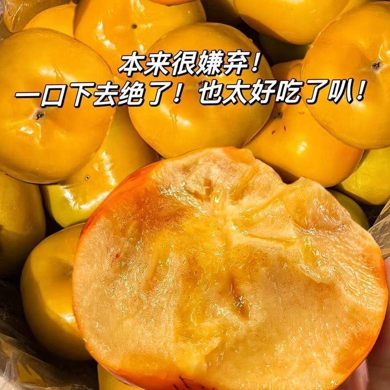 【好品质】头茬苹果脆柿子新鲜巧克力无核冰糖柿子脆甜当季水果