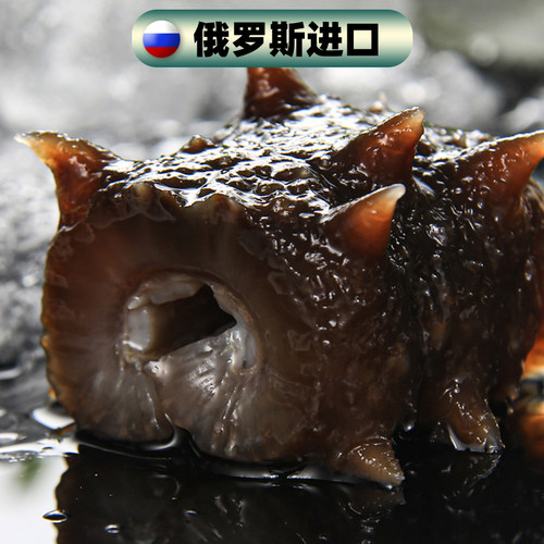 刺参俄罗斯进口鲜活特级海参干货