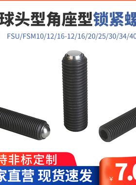 FSU/FSM10/12/16-12/16/20/25/30/34/40/50锁紧螺丝角座型PKZ23