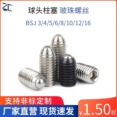 球头柱塞304不锈钢BSJ