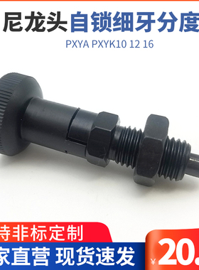 ZAM21/31尼龙头自锁细牙分度销弹簧分割锁旋钮柱塞PXYA PXYK10 12