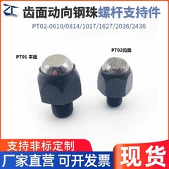 台湾PT02-0610/0814/1017/1627/2036/2436齿面动向钢珠螺杆支持件