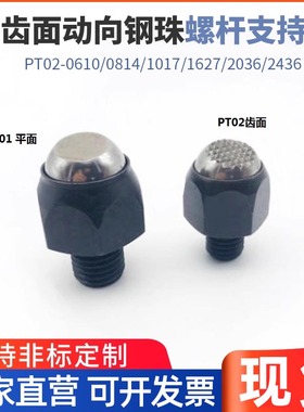 台湾PT02-0610/0814/1017/1627/2036/2436齿面动向钢珠螺杆支持件