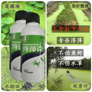 水产养殖浮萍克星不伤鱼虾蟹水塘除浮萍净水塘莲藕杀灭除浮萍清理