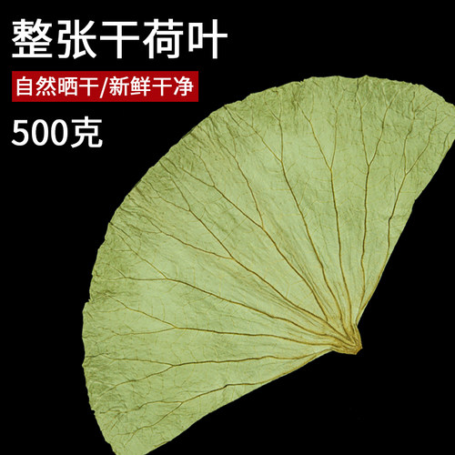 叫花鸡专用干荷叶片叫花鸡批发