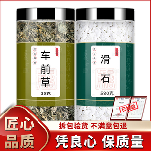 车前草滑石新鲜中药材非野生的功效与作用车钱草泡茶泡水喝旗舰店