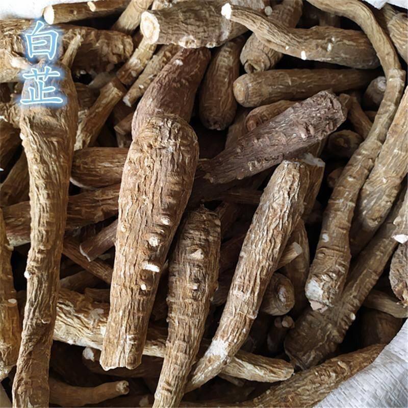 四川川白芷根整根无硫白芷粉白芷片香料卤料大白芷个子川白芷片