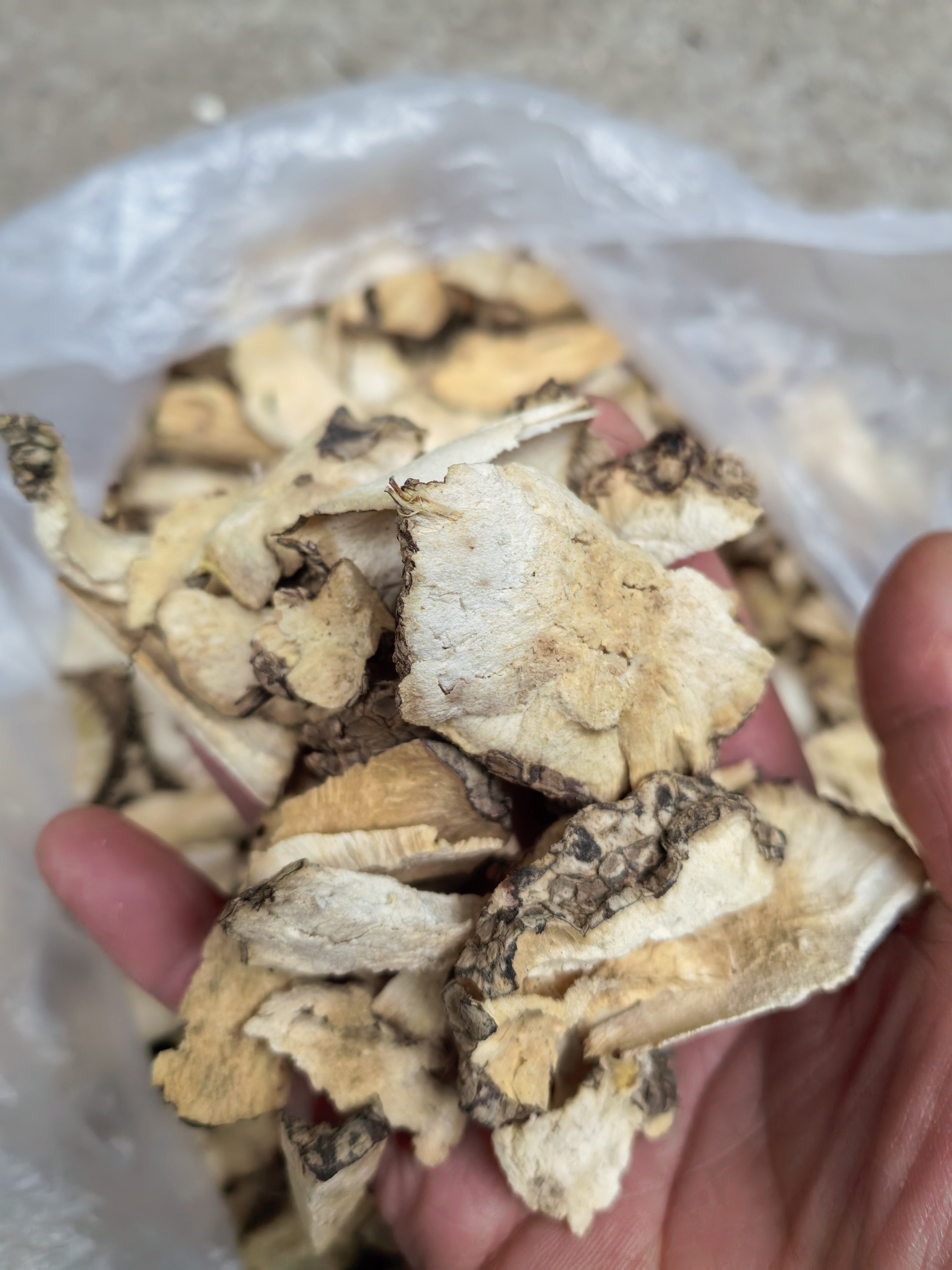 秦岭野生土茯苓无硫白茯苓块丁茯苓粉茯苓茶土茯苓片冷饭团头干货