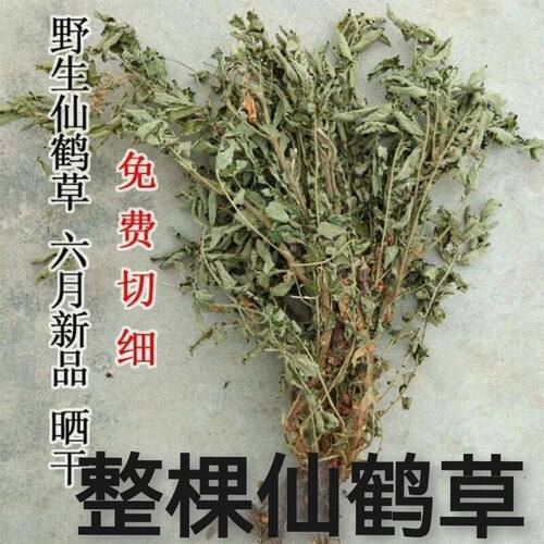 秦岭深山野生仙鹤草新鲜晒干龙牙草子母草正宗脱力草仙鹤草干货
