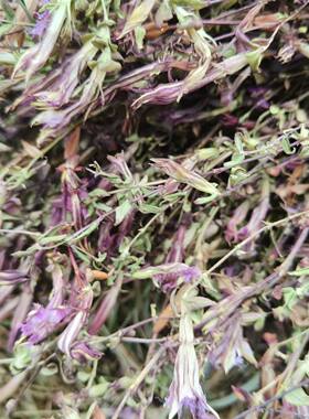 四川深山龙胆草新货红花龙胆草晒干青鱼胆星秀花干货龙胆草