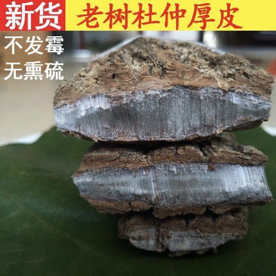 秦岭深山杜仲皮厚皮干货无硫自然晒干农产品老树厚皮可泡茶泡酒