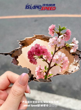 一枝粉红色樱花贴画破洞撕裂效果创意设计汽车车身车尾防水贴