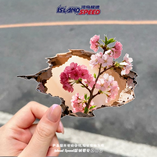 一枝粉红色樱花贴画破洞撕裂效果创意设计汽车车身车尾防水贴