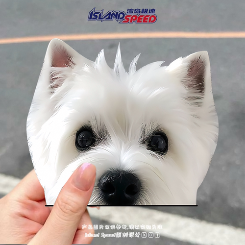 西高地白梗犬车贴趣味小狗装饰图案汽车车身车尾三角窗贴花