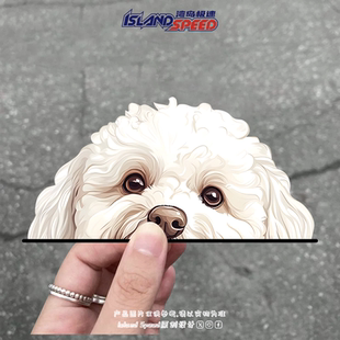 马尔济斯犬贴纸趣味白色宠物小狗半头设计汽车车身车窗贴画