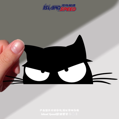 黑猫偷窥可爱动物车贴