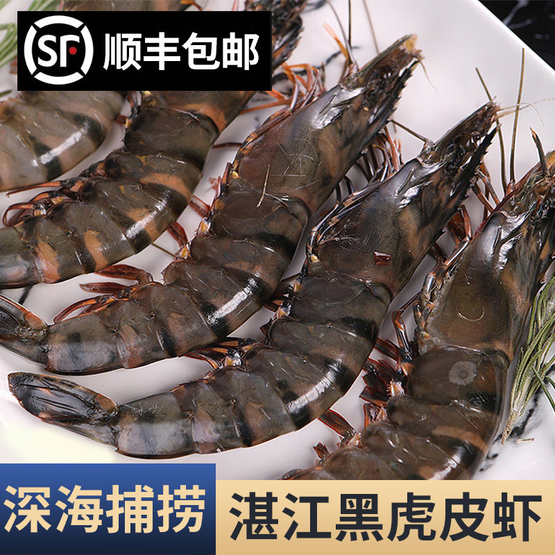 湛江黑虎虾大虾新鲜超大海鲜水产特大虾类海虾虎虾斑节九节老虎虾