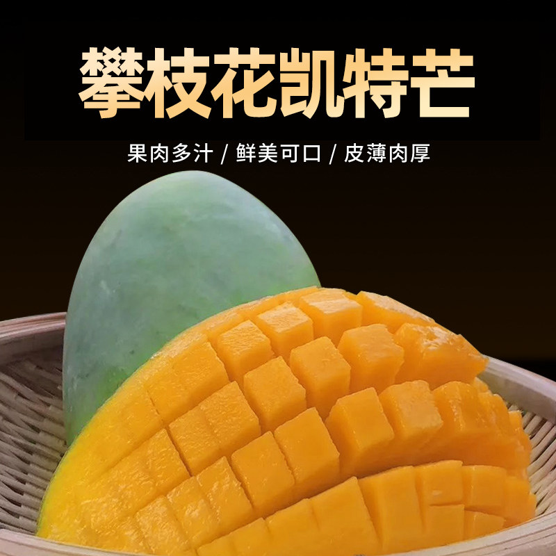 四川攀枝花凯特芒果新鲜3斤5斤10斤包邮当季特水果大青整箱应季甜|msdalam kategori daging perikanan/Buah-buahan segar dan sayur-sayuran/dimasak, buah-buahan segar, Mango - dari Buy2taobao.com untuk memberikan perkhidmatan ejen Taobao profesional membeli