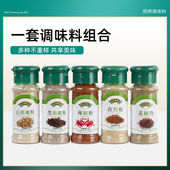 黑白胡椒五香粉面烧烤调味品孜然辣椒花椒盐粉烤肉羊肉串蘸撒香料