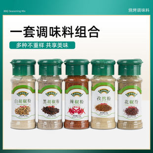 黑白胡椒五香粉面烧烤调味品孜然辣椒花椒盐粉烤肉羊肉串蘸撒香料