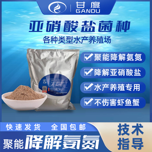 甘度降氨氮水产亚盐菌种好氧硝化细菌调节肥水稳定水质底泥调节剂