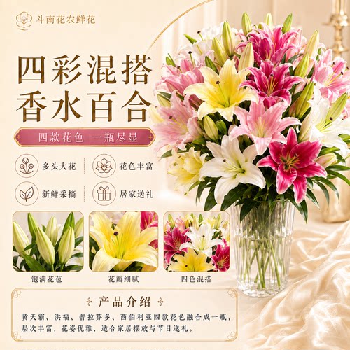 香水百合鲜切花云南直发重瓣花卉