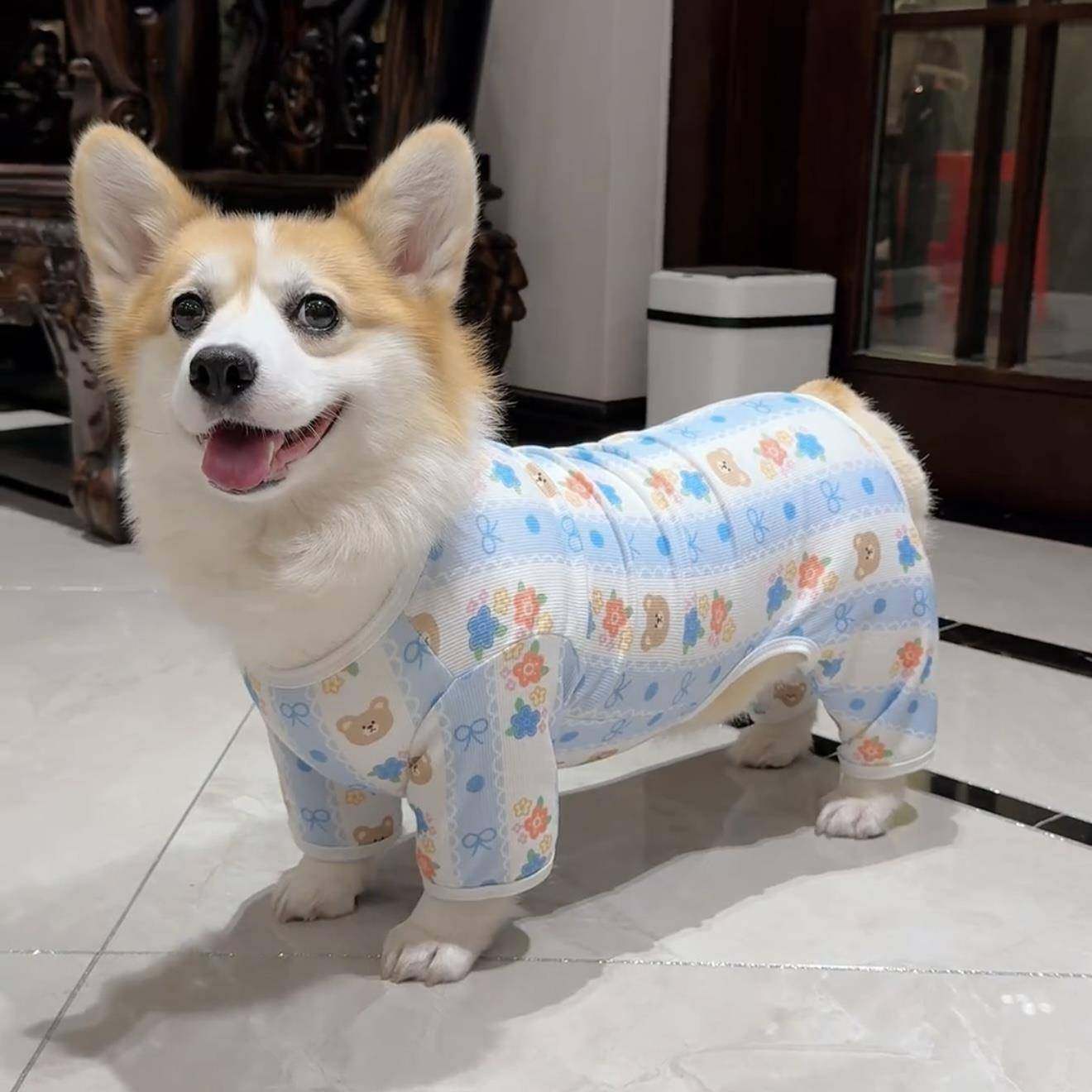 狗狗衣服春秋款四脚衣柴犬柯基法斗腊肠金毛拉布拉多宠物秋装服饰