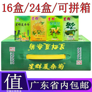 星群夏桑菊凉茶植物饮料250毫升16盒整箱含菊花金银花罗汉果甘草