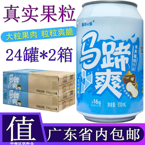 隐雪马蹄爽果粒果肉饮料310ML*24