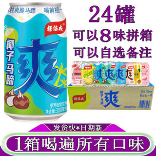 杨协成椰子马蹄爽甘蔗汁荔枝水果粒荸荠饮料300ml*24罐整箱清凉爽