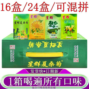 星群夏桑菊凉茶植物饮料250ml*16盒整箱装含菊花金银花罗汉果甘草