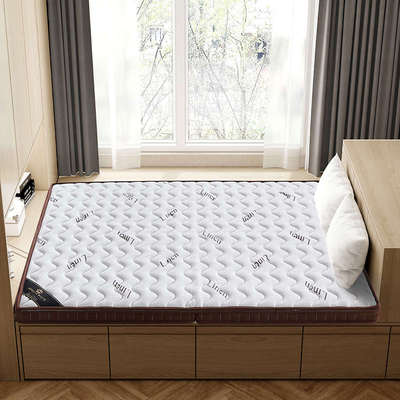 天然环保3E椰棕床垫学生宿舍单人棕榈租房专用寝室抗菌折叠硬垫子