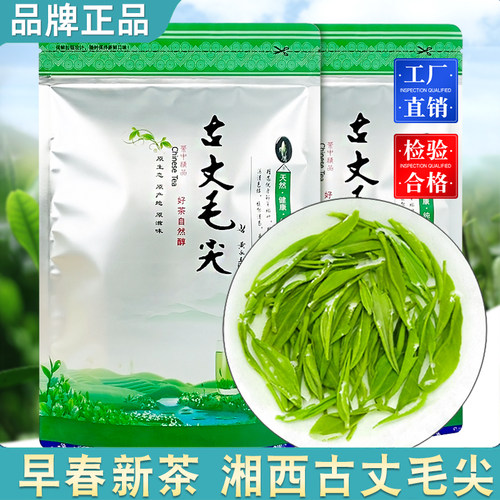 新品上市 特惠促销