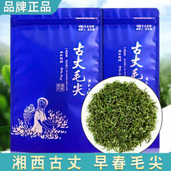 古丈毛尖2025新茶叶浓香型绿茶散装早春嫩芽湘西高山原产手工茶