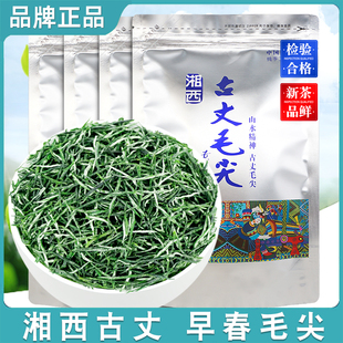 古丈毛尖綠茶葉2025新茶明前嫩芽濃香型高山茶袋裝 店有保靖黃金茶