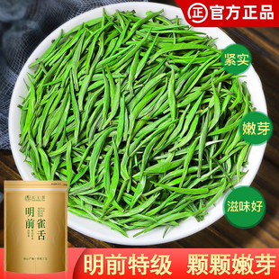 雀舌绿茶毛尖2025新茶正宗明前春茶栗香型炒青绿茶湄潭茶叶自己喝