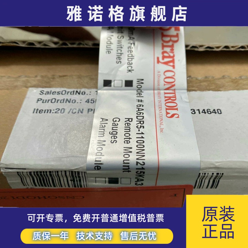 6DR5110-0NN00-5KA0 美国博雷Bray阀门定