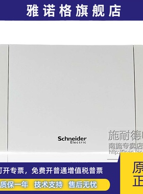 施耐德电气 天翼12回路强电箱 13679布线箱 TYA-12暗装配电箱白色