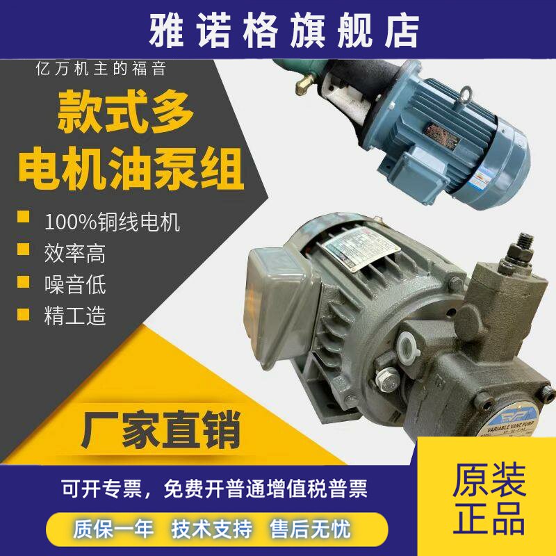 液压油泵电机组液压泵总成内轴电机液压站配件VP20+1.5KW0.75马达图片