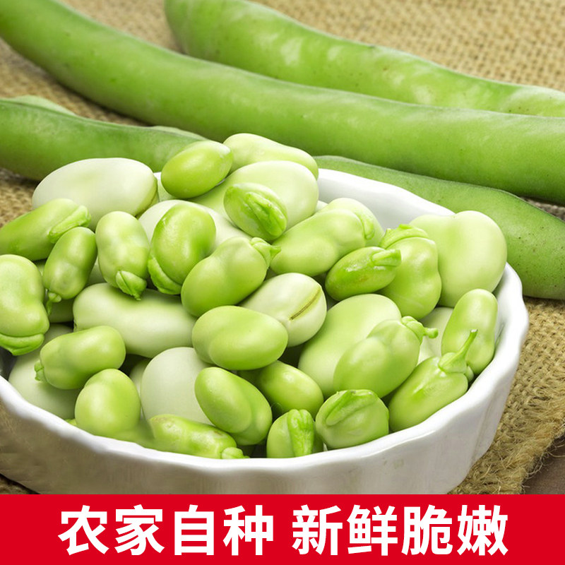 江苏新鲜生蚕豆兰花豆胡豆带壳嫩青豆罗汉豆本地特产现摘农家自种