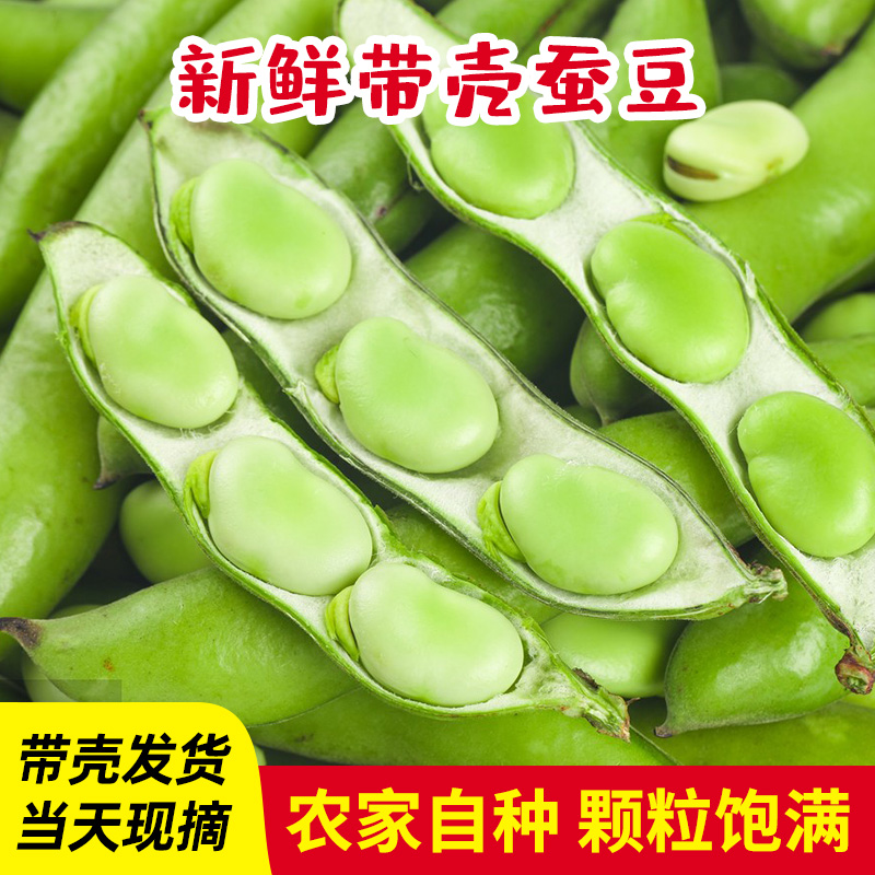 江苏特产胡豆青豆新鲜蔬菜嫩带壳蚕豆生的米5斤罗汉豆兰花豆批发-封面