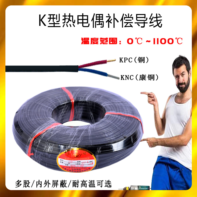 K型诺伊耐高温补偿导线热电偶