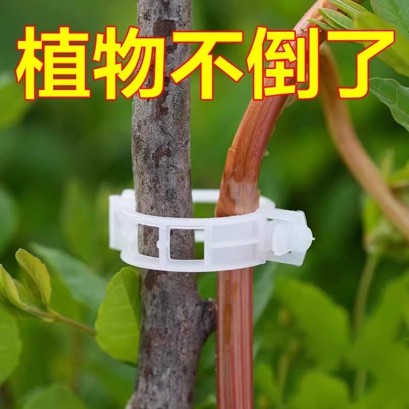 绿植果树植物固定夹卡扣藤蔓固定器秧苗爬藤支撑杆果蔬秧苗吊秧夹,鲜花速递/花卉仿真/绿植园艺,其它园艺用品,淘宝优惠券,粉丝福利购,淘宝优惠卷