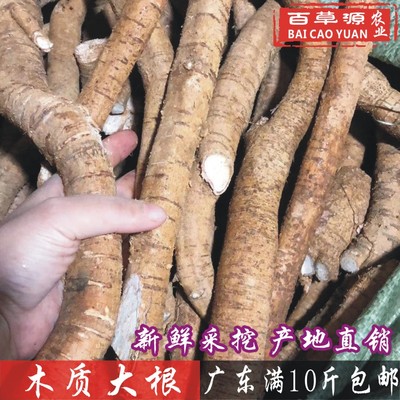 野生牛大力根木质大根生新鲜条500g牛古大力金钟根滋补煲汤泡酒料
