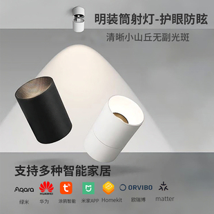 matter涂鸦Homekti已接入米家智能折叠可调角度明装吸顶筒灯射灯