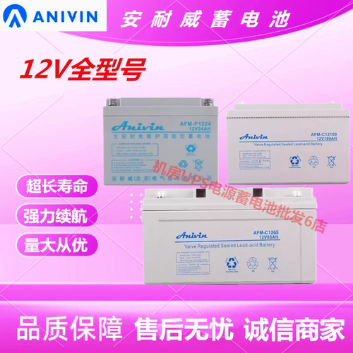 安耐威蓄电池AFM-P AFM-C1217 /24/38/65/100/120/150/200直流屏